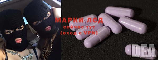 гашик Аркадак