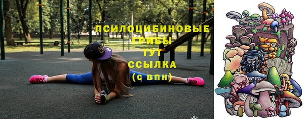 гашик Аркадак