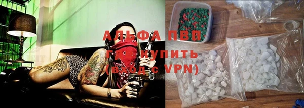 гашик Аркадак