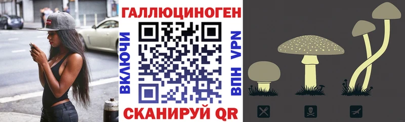 где купить   Сосногорск  Галлюциногенные грибы прущие грибы 